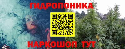 молекула духа Новодвинск