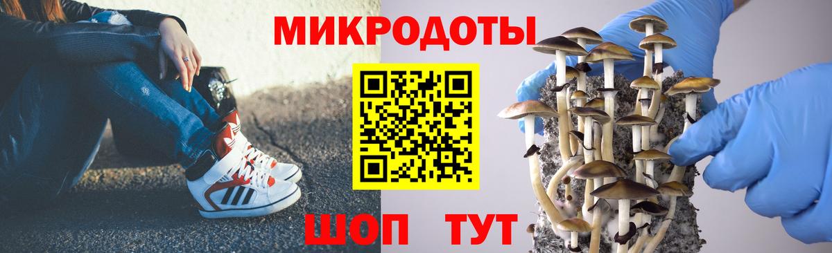 Галлюциногенные грибы прущие грибы  Псилоцибиновые грибы Cubensis  Вход с VPN  Сухой Лог 